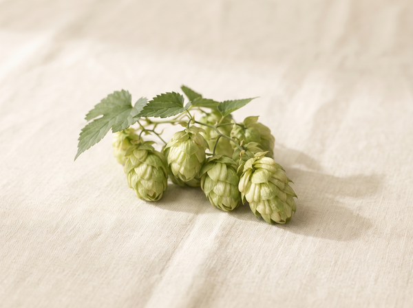 Hops